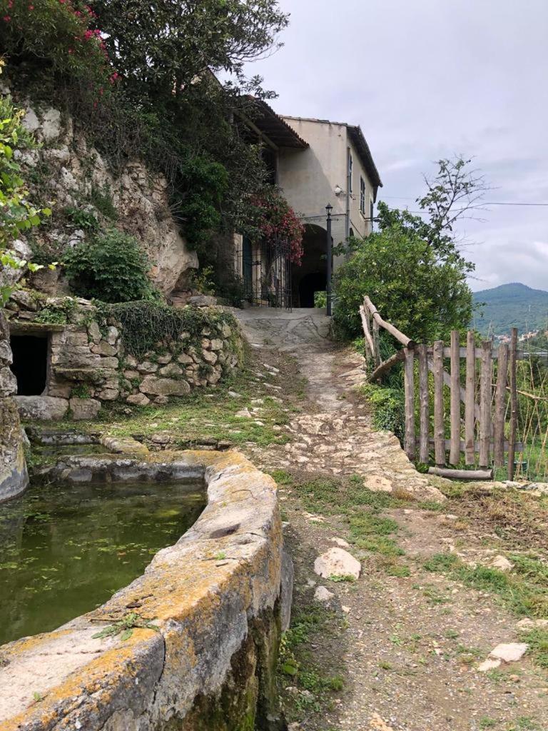 Ca Di Pippo "Tasso" Appartamento Ristrutturato 오르코 펠리노 외부 사진